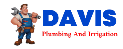 Trusted plumber in HOBGOOD